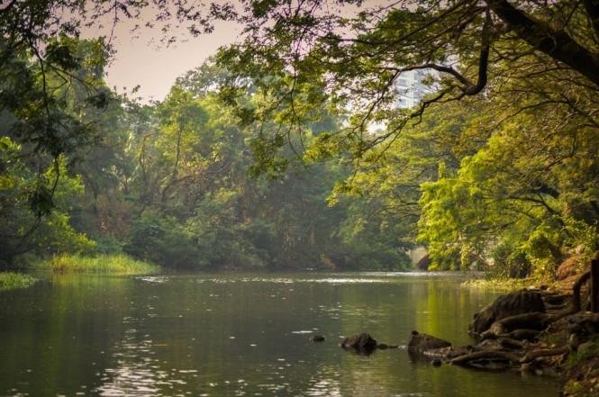 Sanjay Gandhi National Park